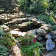 Enjoy the outdoors this summer by touring five beautiful local area gardens with great variety, color, and detail. You will get to meet and talk to Shaler Garden Club experts, […]