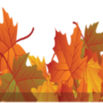 Build or expand your drawing skills by drawing leaves, gourds, seed pods and acorns in colored pencil with teacher and botanical illustrator Robin Menard. No experience or special skills are […]