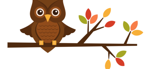 The air is cooler, the leaves will soon be falling…and we’ll be excited to see you this fall. LINK HERE to get the details. (Birth through Teen)