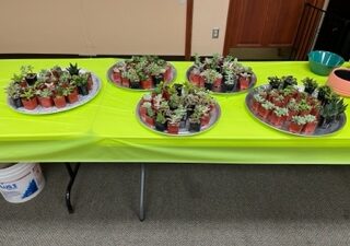 Thanks to the Shaler Garden Club for another wonderful Succulent Garden workshop & event. Information on succulents was shared, and then the attendees got to design and make their own […]