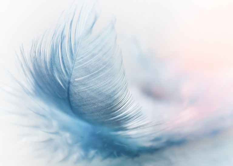 This image has an empty alt attribute; its file name is Feather.png