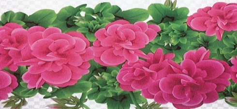 Sunday, July 9, 2023 from 11:00am to 3:00pm (rain or shine)    Tickets:  $15.00 in Advance, $18.00 day of Tour PURCHASE TICKETS HERE. Please indicate “Garden Tour” in the Note […]
