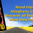 Ready for an adventure? How about planning a ‘trip’ to visit all the public libraries in Allegheny County? How many will you see? Pick up your Passport at any public […]